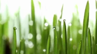 以水定需 量水而行 节水为重